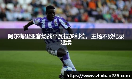 必博BIBO
