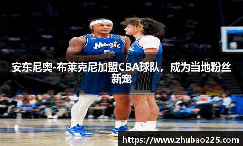 必博BIBO网址