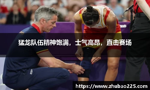 必博BIBO官网