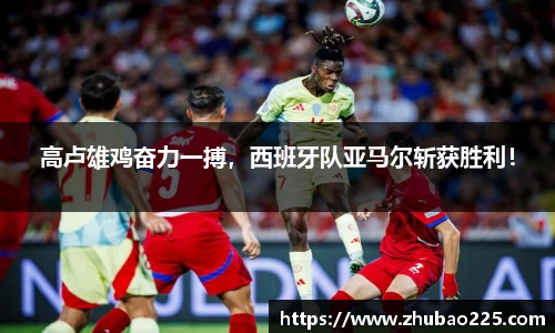 必博BIBO官网