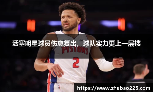 必博BIBO网址