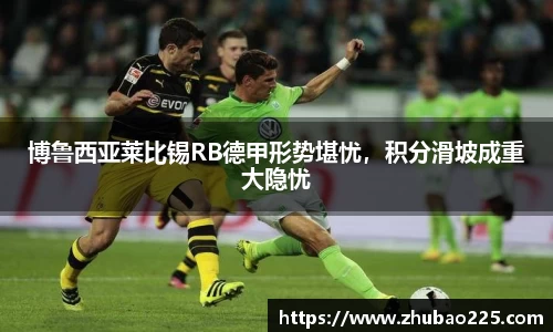 必博BIBO网址