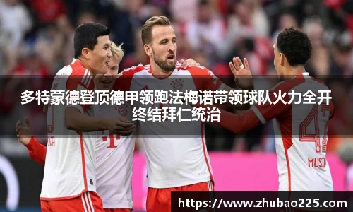 必博BIBO
