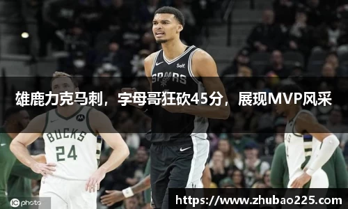 必博BIBO