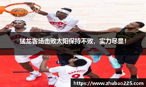 必博BIBO网址