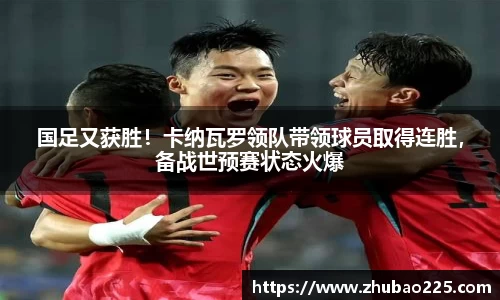 必博BIBO
