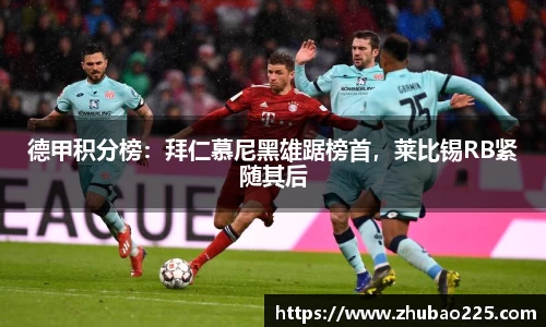 必博BIBO官网