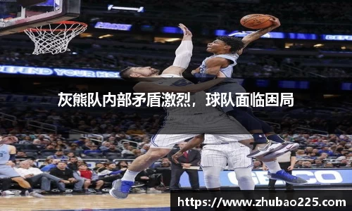 必博BIBO官网