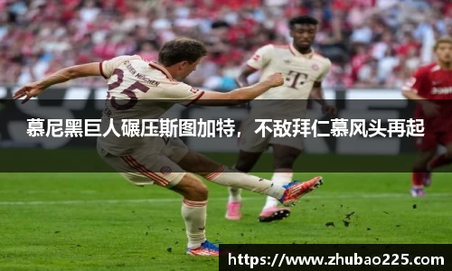 必博BIBO官网