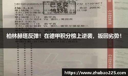 必博BIBO