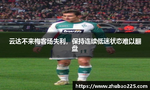 必博BIBO网址