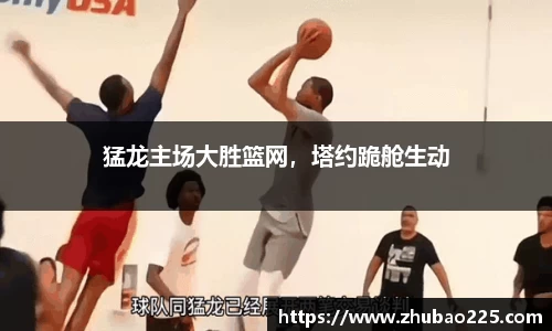 必博BIBO官网