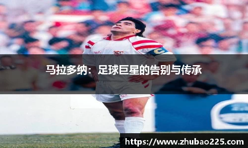 必博BIBO网址