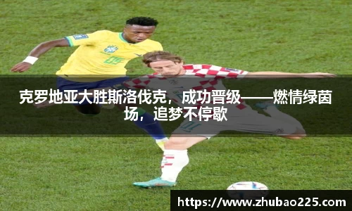必博BIBO网址