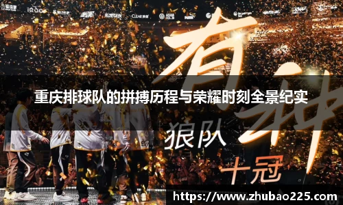 必博BIBO网址