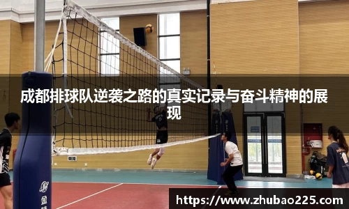 必博BIBO官网