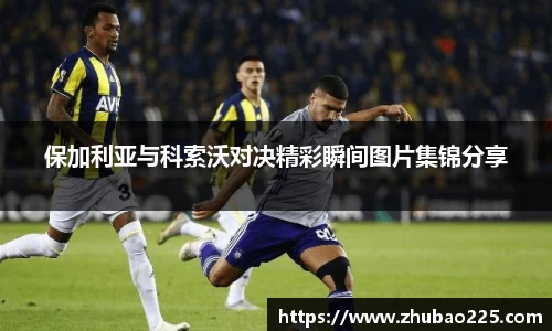 必博BIBO官网
