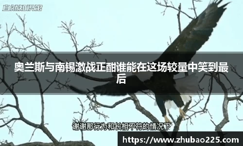 必博BIBO