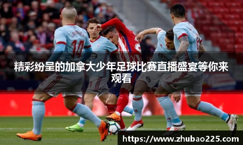 必博BIBO