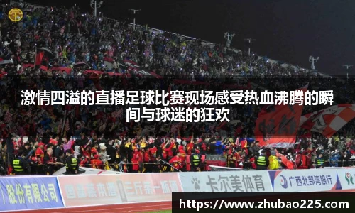 必博BIBO
