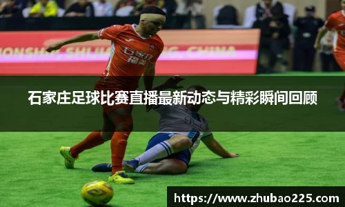 必博BIBO网址