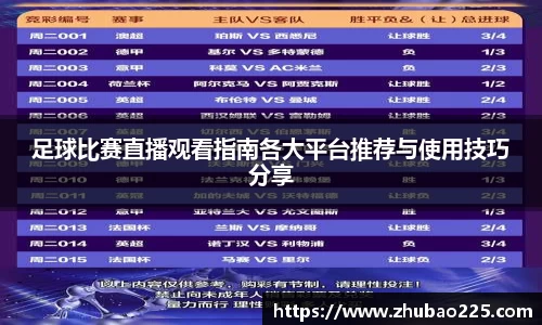 必博BIBO网址