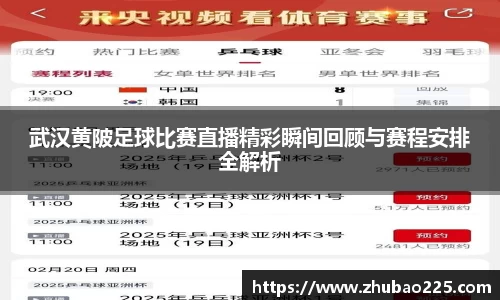 必博BIBO网址