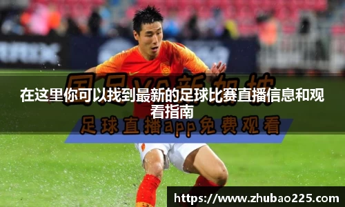 必博BIBO网址