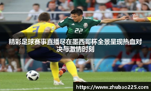 必博BIBO官网