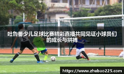 必博BIBO官网