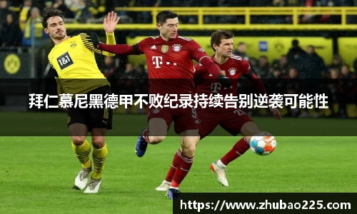 必博BIBO