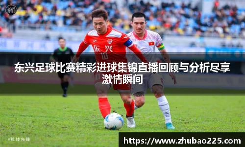 必博BIBO网址
