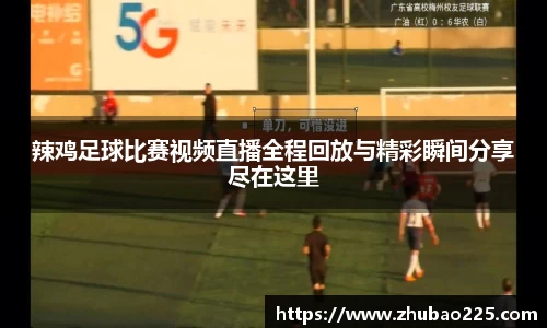 必博BIBO网址