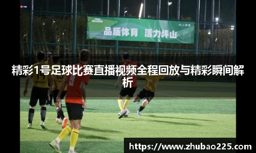 必博BIBO网址