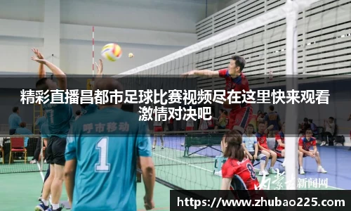 必博BIBO