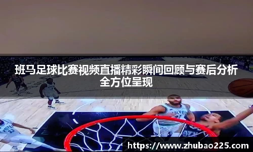 必博BIBO网址