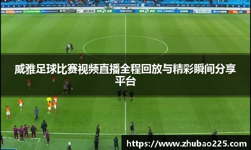 必博BIBO官网