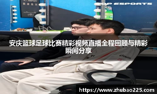 必博BIBO网址