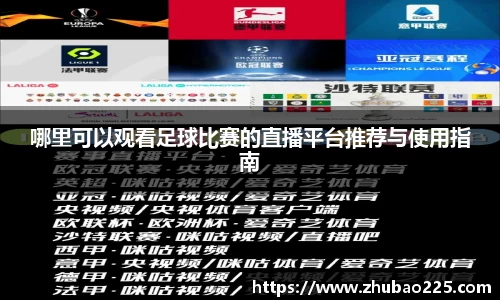必博BIBO网址