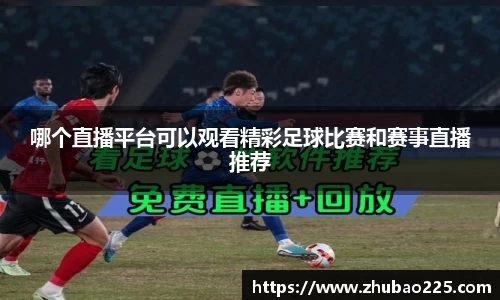 必博BIBO