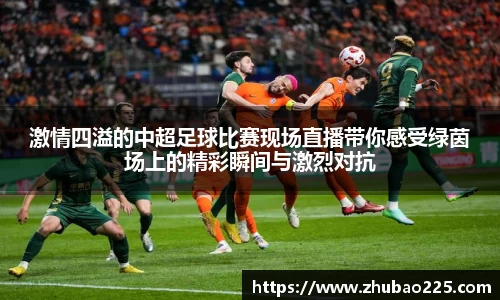 必博BIBO网址