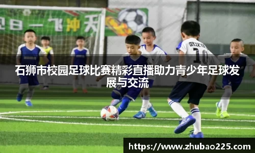 必博BIBO网址