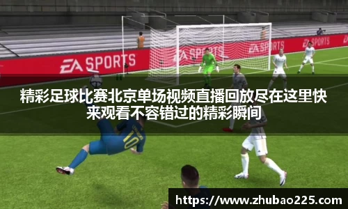 必博BIBO官网