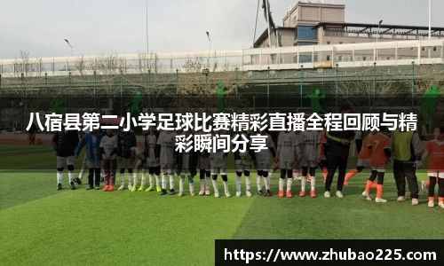 必博BIBOAPP