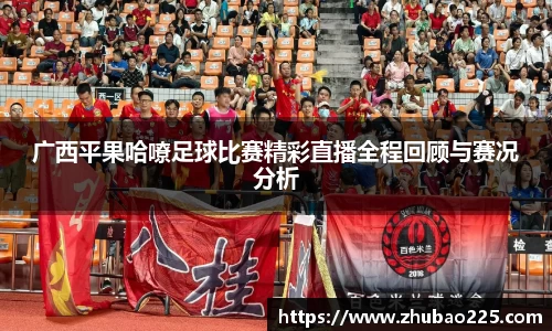 必博BIBO