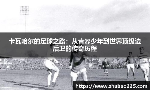 必博BIBO网址