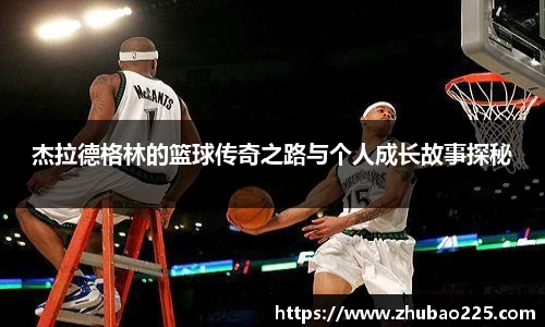 必博BIBO