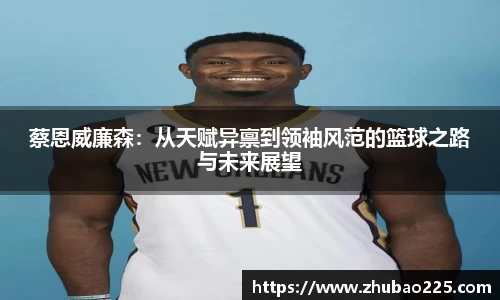 必博BIBO官网