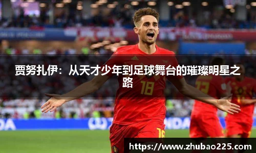 必博BIBO网址