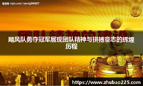必博BIBO官网